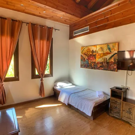 Apsis Hotel Emporio (Kozani)